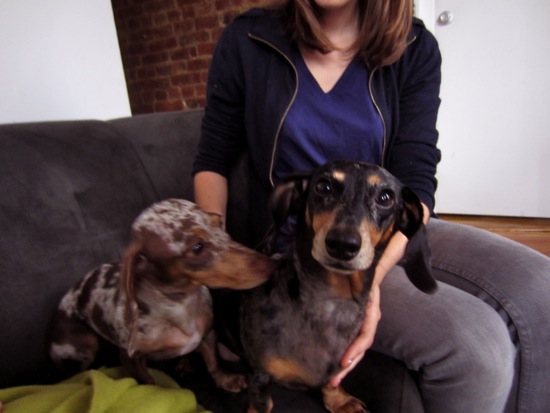 maddy, meredith