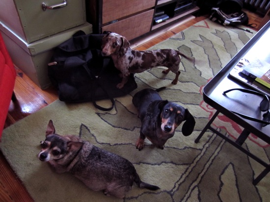 maddy, piper