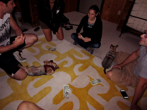biggy, matt, meredith
