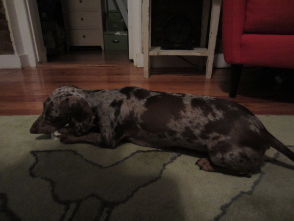 maddy