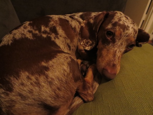maddy