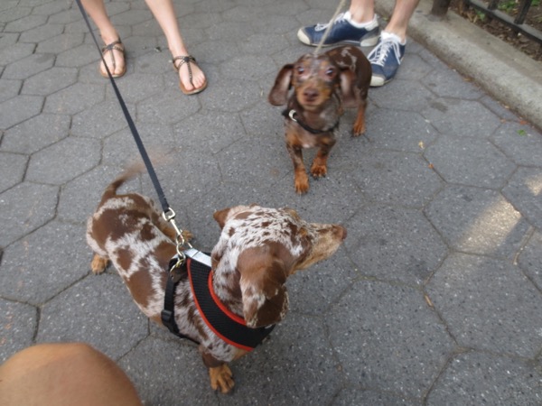 esther, maddy