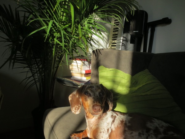 maddy
