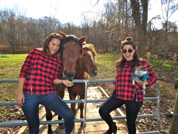 piper, quinn, the ktb