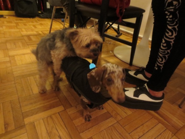 biggy, maddy