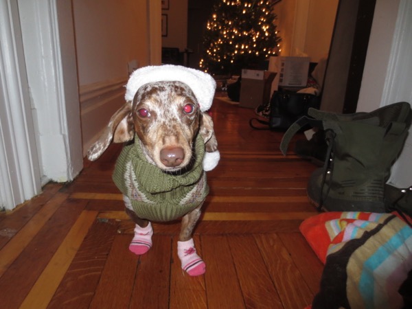 maddy