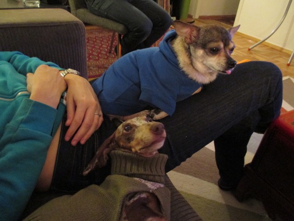 maddy, piper