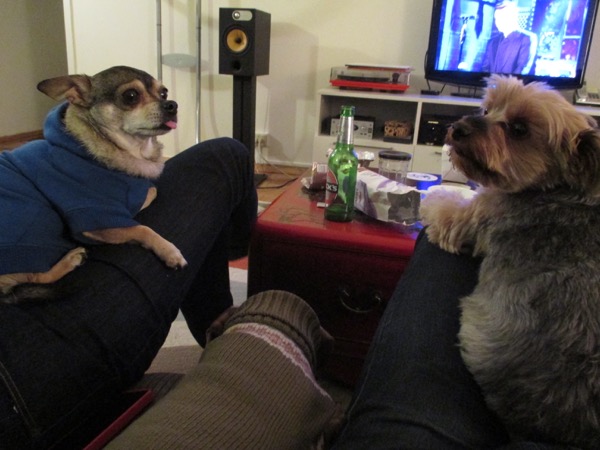 biggy, maddy, piper