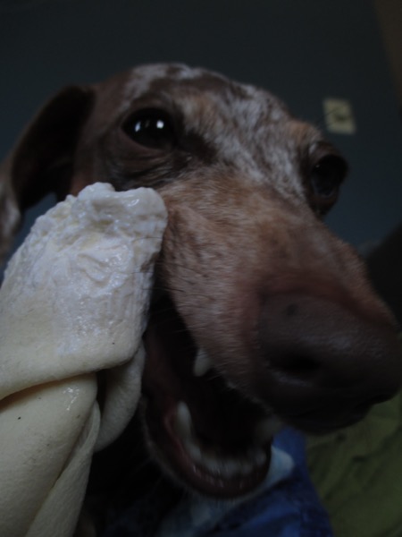 maddy