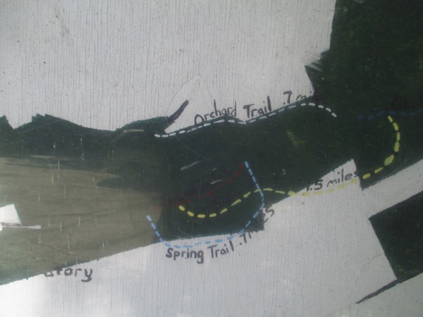 trail