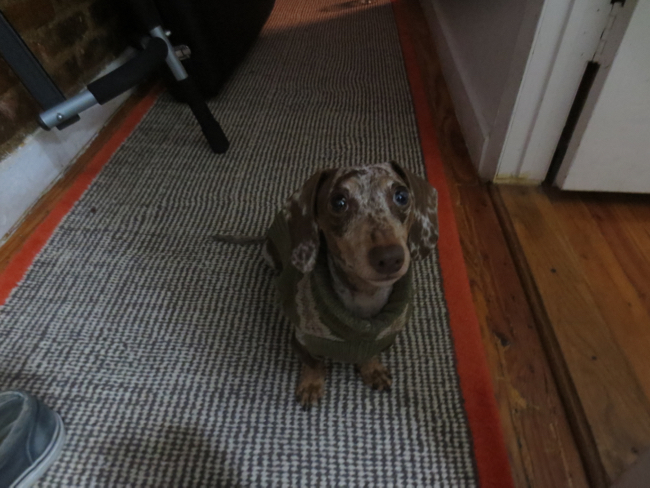 maddy