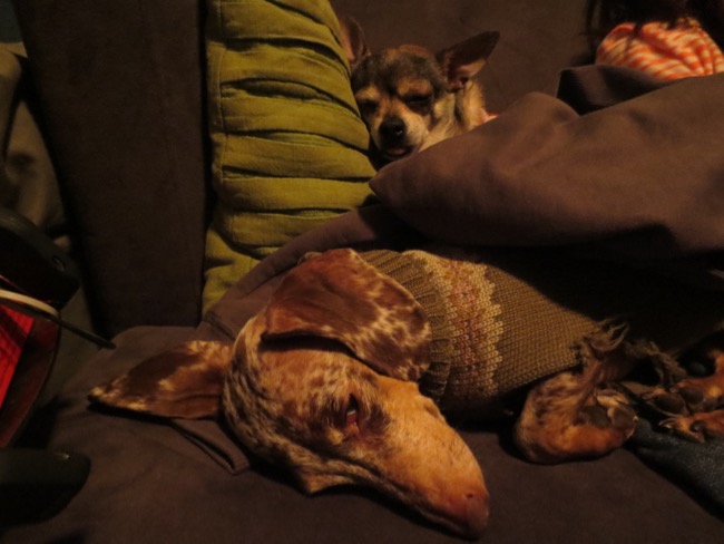 maddy, piper