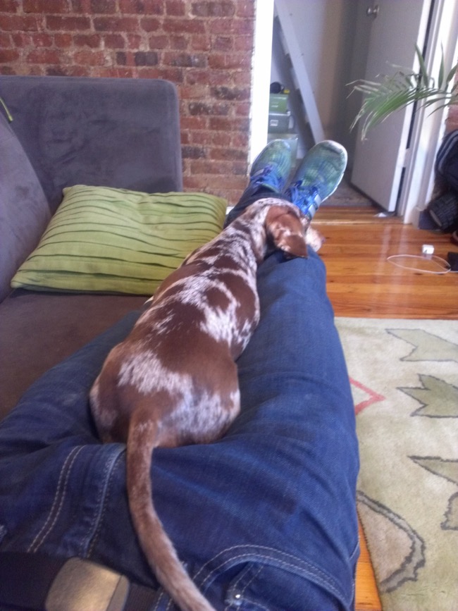maddy