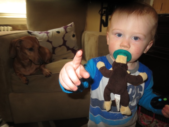 max, teddy