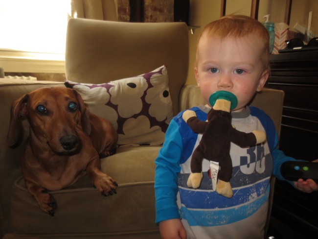 max, teddy