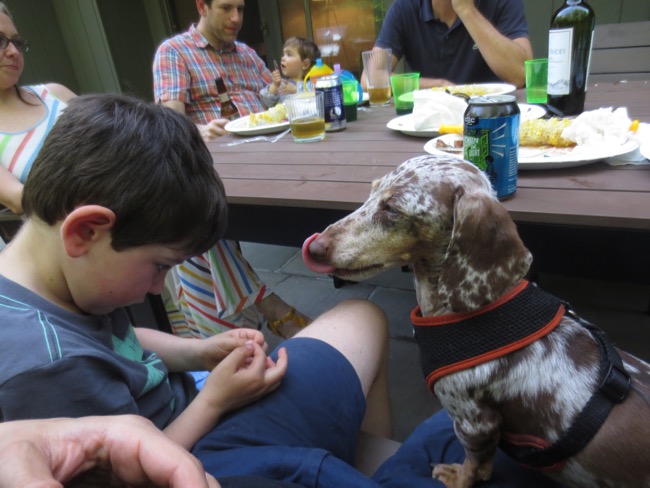 henry, maddy