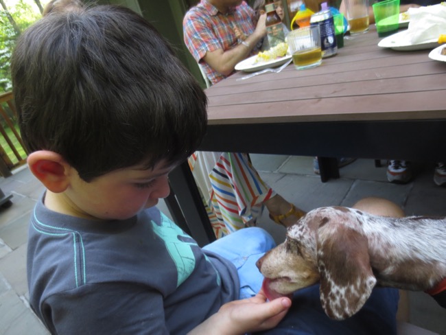 henry, maddy
