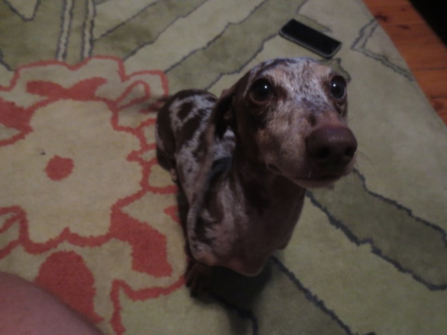 maddy