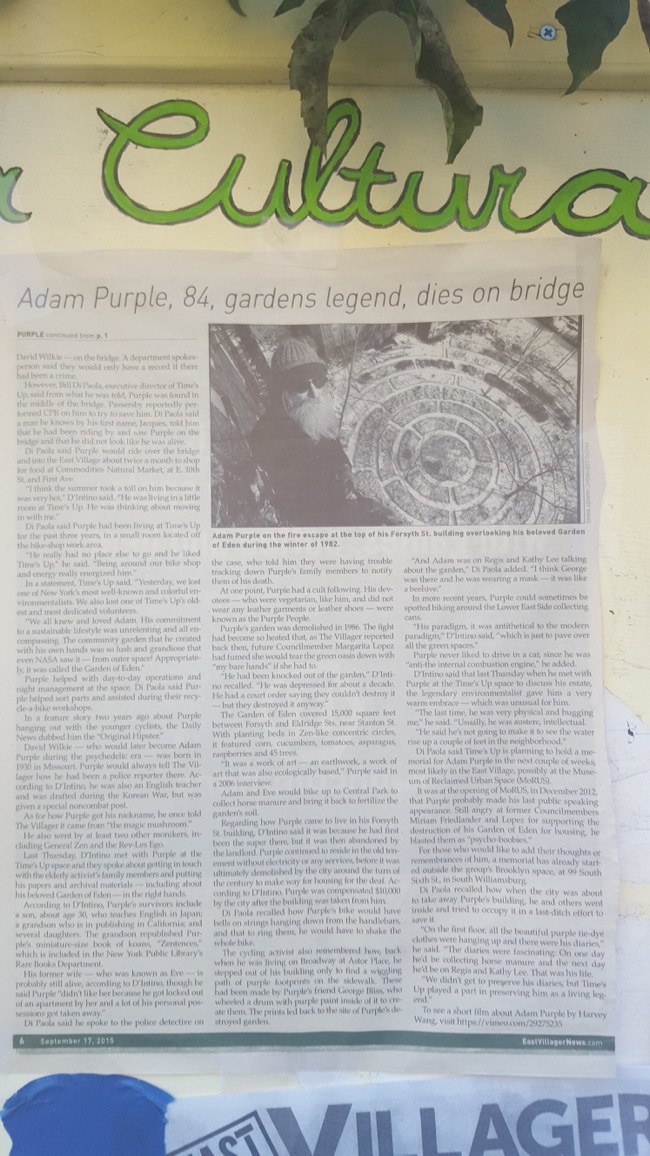 adam purple