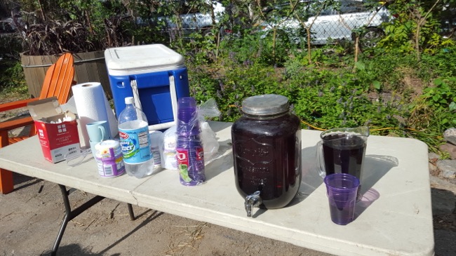 adam purple