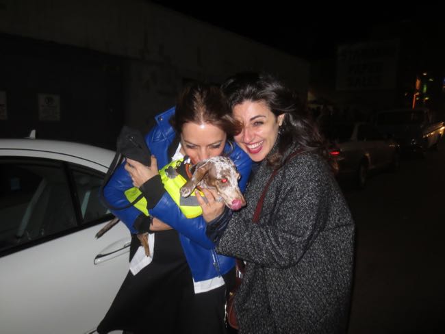 maddy, meredith, quinn