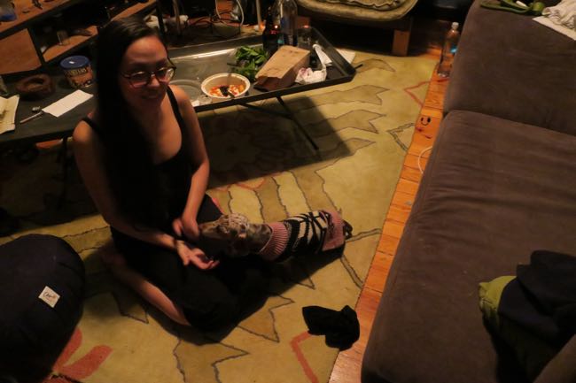 jane anne, maddy
