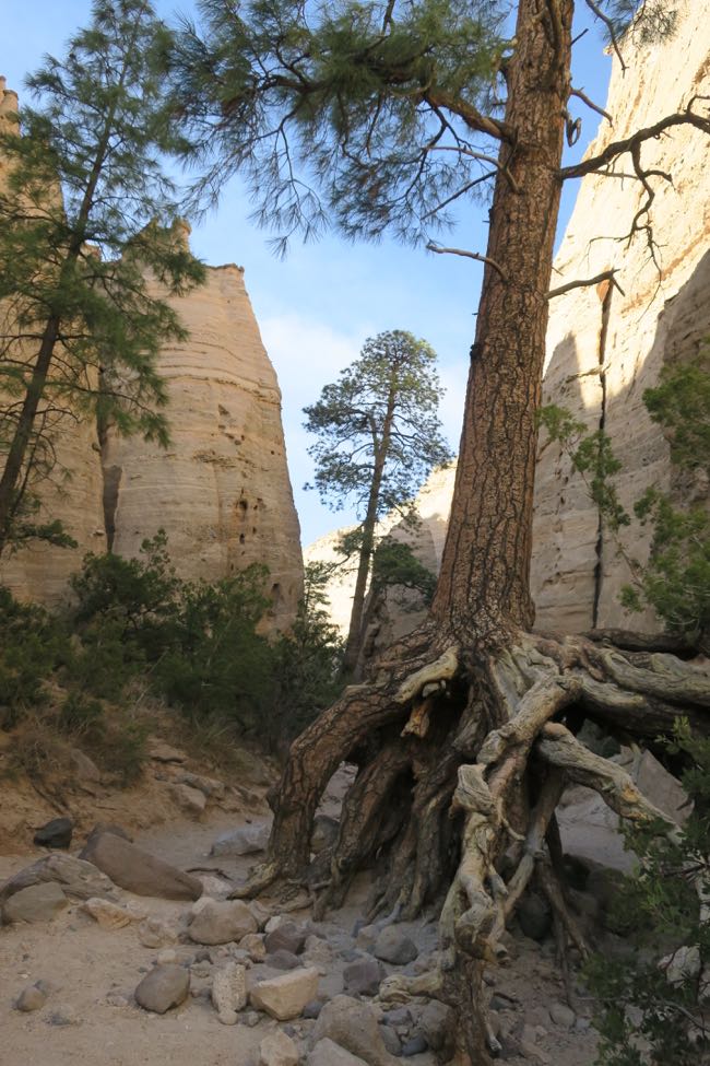 tent rocks