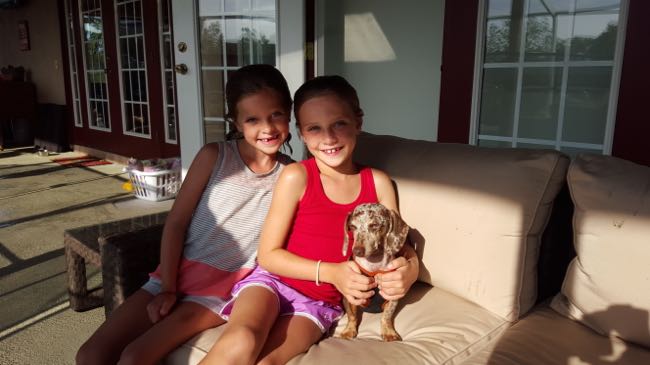lila, lucy, maddy
