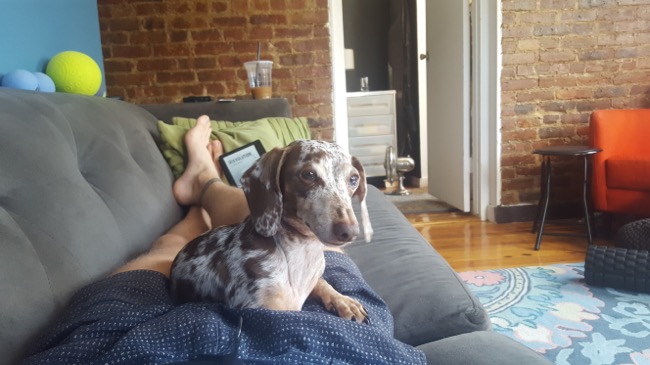 maddy