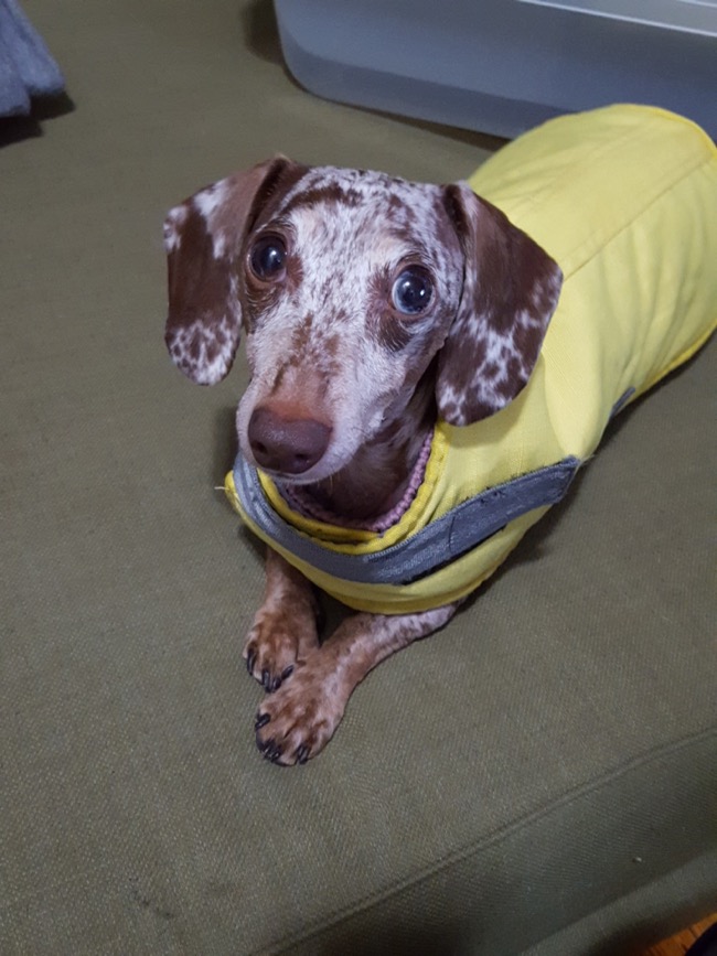 maddy
