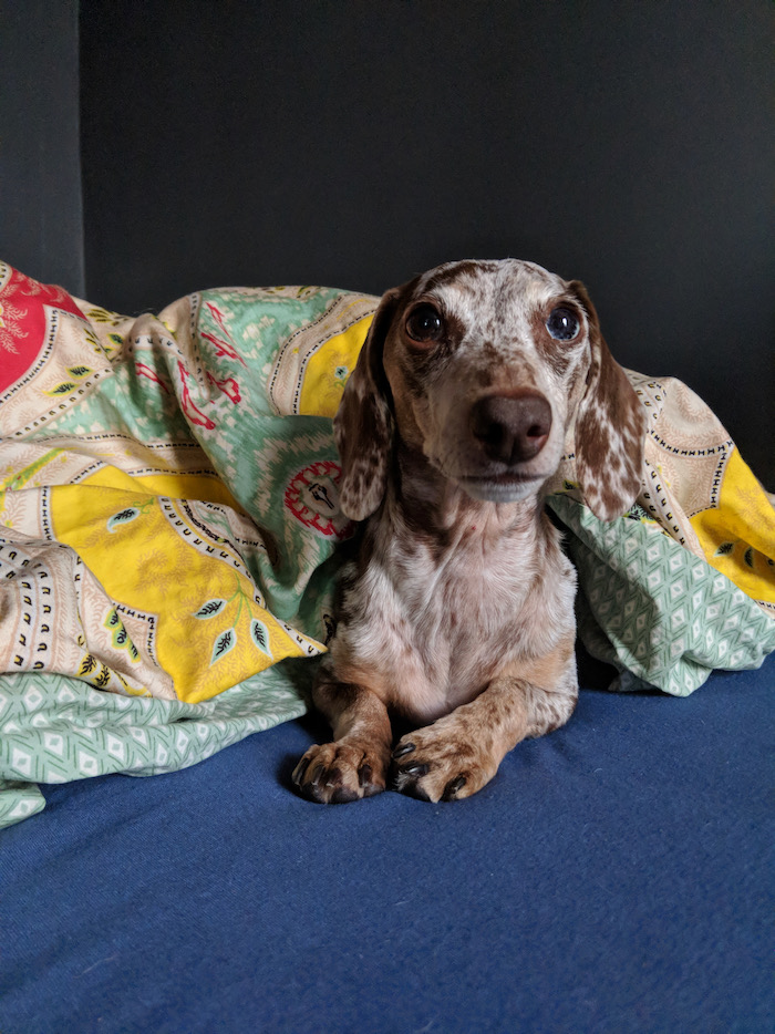 maddy