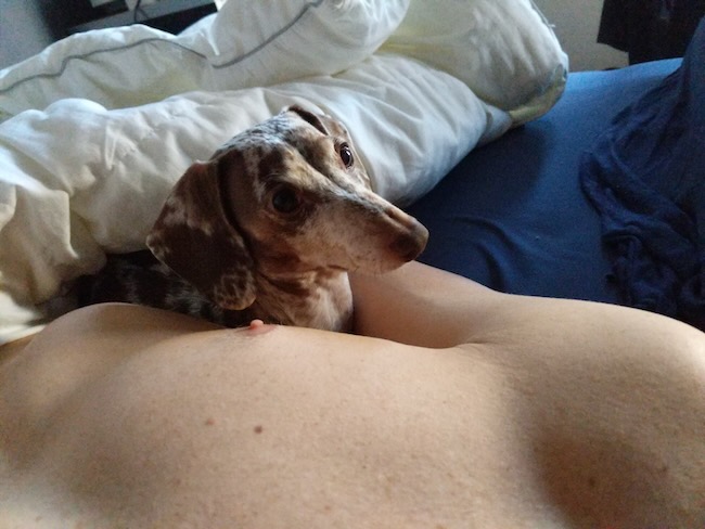 maddy
