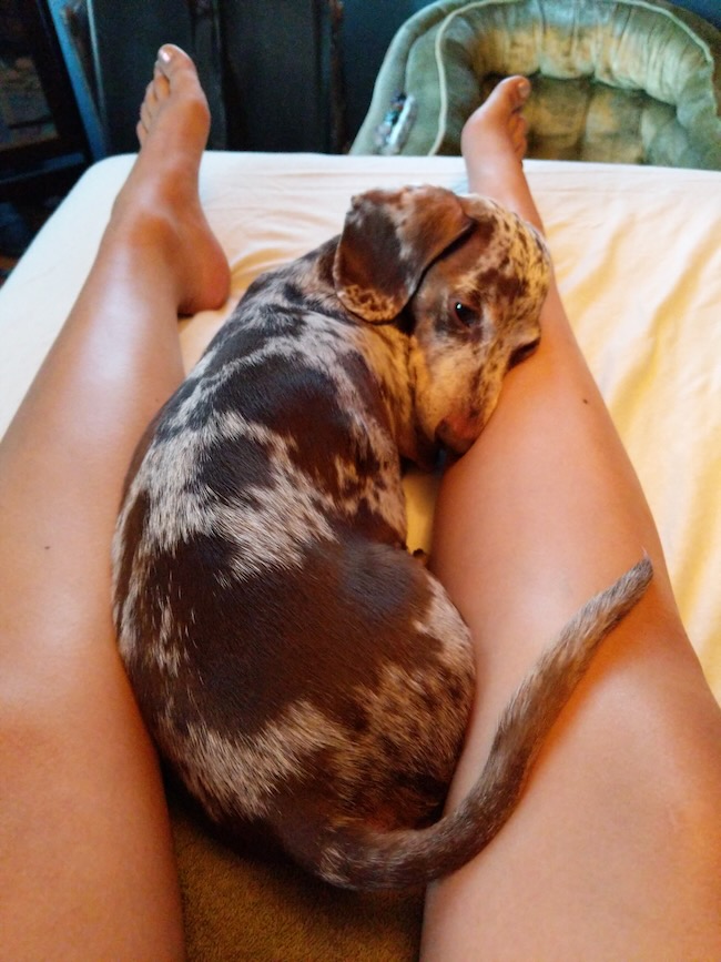 maddy