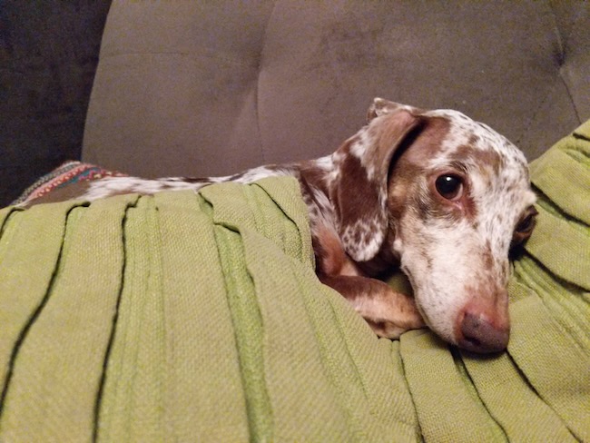 maddy