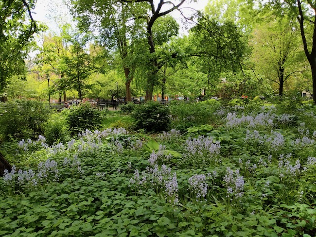 spring